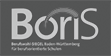 BoriS-Berufswahl-Siegel